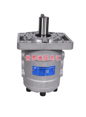 hchc长源液压齿轮油泵 CBT-F5 合肥长源液压泵 清障车用齿轮油泵
