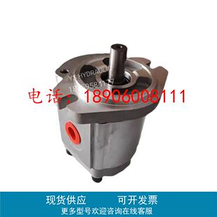 KOMPASS康百世P216RP04GT齿轮泵P107RP01GT 104 106 109 127 135