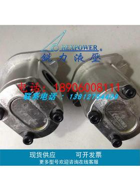 锐力齿轮泵RGP-F201/F202/F225/F203/F204/F205/F206/F207R-12