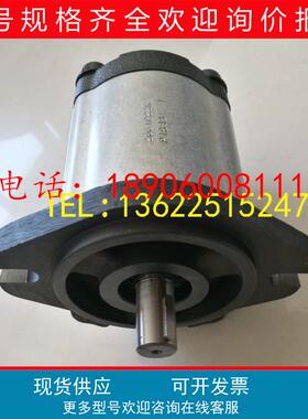 台湾1PM5P03R钰盟1PM5P04R 1PM5P05R机床1PM1P01L齿轮泵1PM2P02L