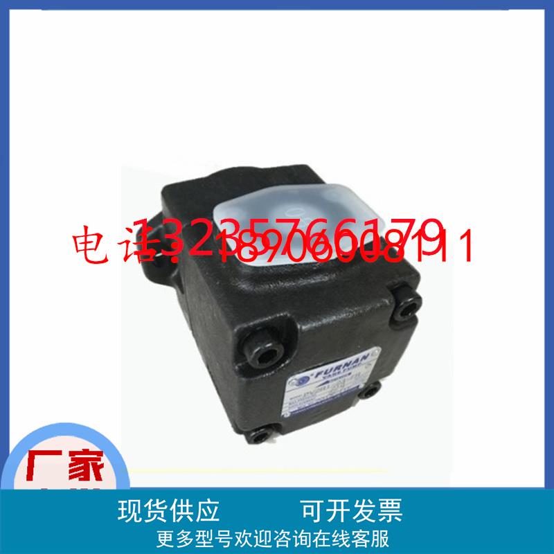 PV2R12-31-75-FR PV2R12-8-22-FR PV2R12-8-38-FR台湾福南叶片泵