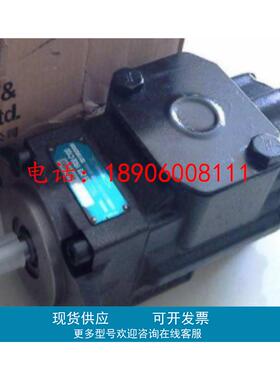 丹尼逊DENISON油泵T6C0311R00B1 T6C0141R00A1叶片泵