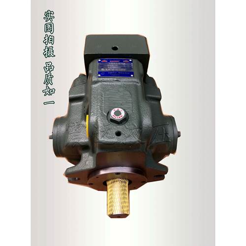 日本YUKEN油研A56-F-R-04-B/C/H-K-32 A56-L-R-04-B/C/H-K-32