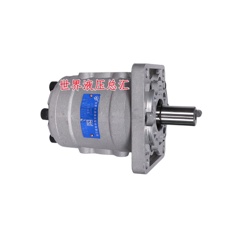 HCHC合肥长源液压泵齿轮油泵CBT-F5 合肥长源液压股份有限公司