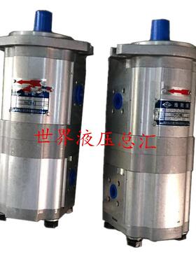 合肥长源CBG2080/2032-BFP、BFPL、BFH、BFHL、BFX、BFXL齿轮油泵