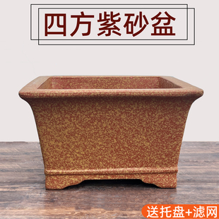 宜兴紫砂四方盆榕树梅花老桩盆文竹发财树茶花三角梅花盆清仓特价