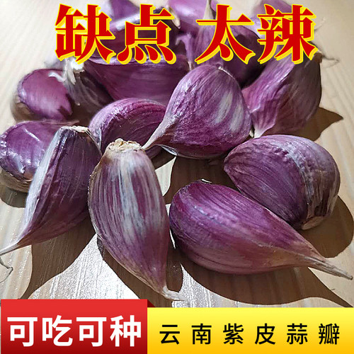紫皮大蒜现剥现发干净卫生味道浓