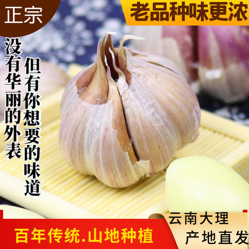 [老品种]正宗云南紫皮大蒜头红皮蒜干蒜糖醋蒜多瓣蒜土香蒜泡蒜