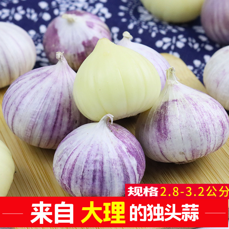 云南大理独头蒜独蒜新鲜蔬菜紫皮大蒜头干蒜糖醋蒜泡蒜大果速发