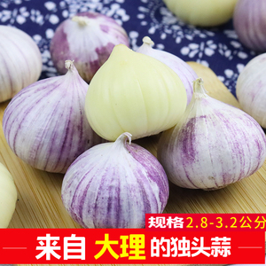 正宗云南紫皮独头蒜产地直发