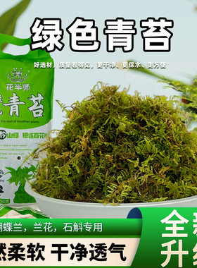 干苔藓优质青苔蝴蝶兰花专用水苔兰花种植土爬宠乌龟垫材绿色苔藓
