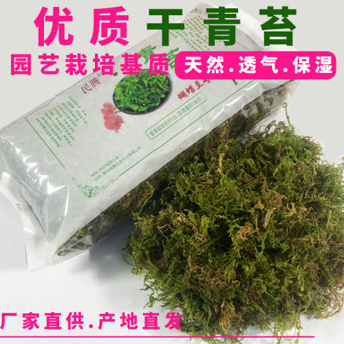 干苔藓青苔园艺栽培基质蝴蝶兰多肉养护盆景装饰爬宠垫材苔藓青苔