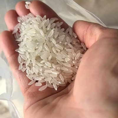 【二哥心选】东北原粮稻花香2号大米10斤 2025年新米