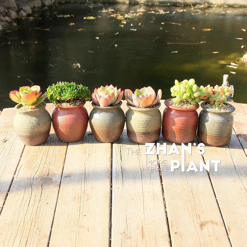 蜂蜜罐 花盆 多肉 多肉植物 展大娘|ruв категории Домашний быт, ваза/цветок/искусственные цветы/моделирование украшения, цветок/ваза, горшок - от Buy2taobao.com для оказания профессиональной услуги покупки агента Taobao