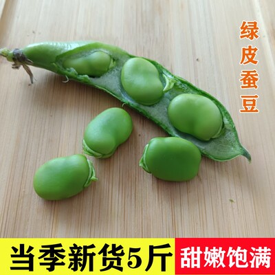 如皋新鲜毛豆青蚕豆带壳蔬菜类罗汉豆兰花胡豆新鲜蔬菜佛南豆5斤