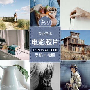 lightroom电脑版LR预设pr视频专业艺术电影胶片人像ins调色ps滤镜