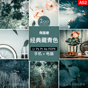 lightroom手机版LR预设PS复古ACR摄影后期人像藏青色调ins滤镜app