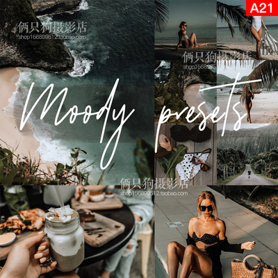 5款INS风格网红博主旅拍人像调色Lightroom手机版lr预设Pr/3DLut