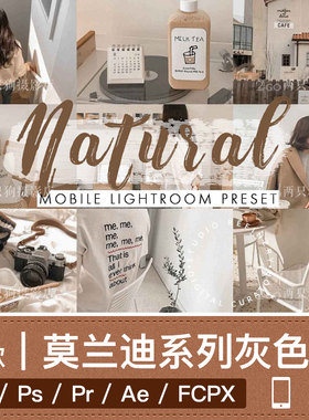lightroom手机版LR预设pr视频lut莫兰迪灰色人像ins调色ps滤镜app