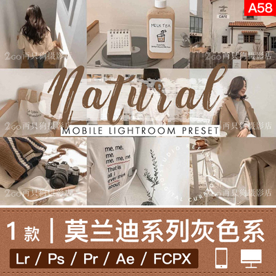 lightroom手机版LR预设pr视频lut莫兰迪灰色人像ins调色ps滤镜app