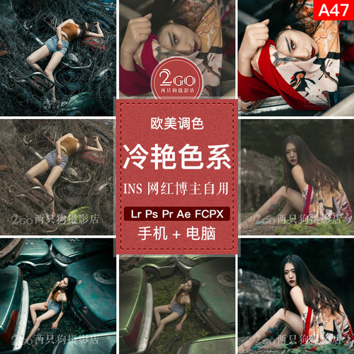 lightroom手机版LR预设PS复古ACR摄影后期人像欧美调色ins滤镜app