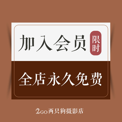 全店Lightroom手机电脑LUTs人像调色日系婚礼PR视频PS滤镜LR预设