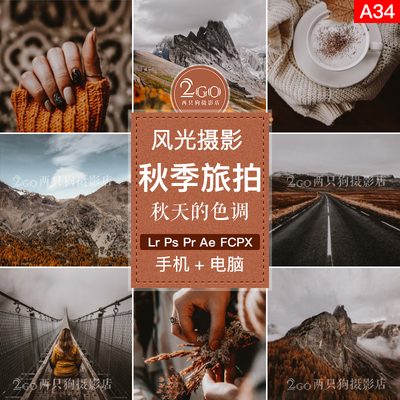 lightroom手机版APP滤镜LR预设PS秋季旅行风光ins色调FCPX PR LUT