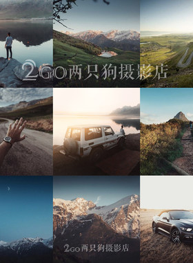 人像旅拍ps滤镜pr视频lightroom调色vn胶片ins网红luts手机lr预设