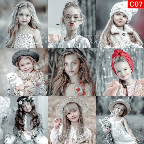 lightroom手机lr预设ps滤镜pr视频调色app高级灰fcpx达芬奇luts