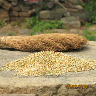 /返璞归真/山西农家 荞麦米