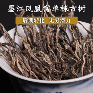 2025年春 普洱生散茶墨江景星凤凰窝森林古树大单株600年100g高香