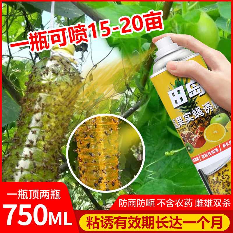 果蝇杀虫剂群蝇汇瓜果实蝇诱粘剂除灭杀天然诱粘剂专用针蜂粘虫板