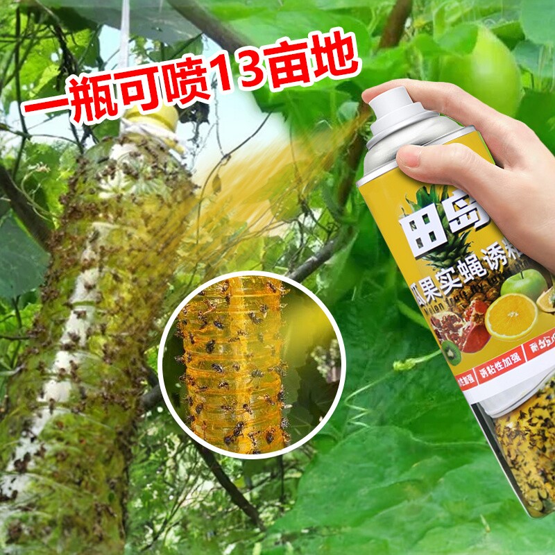 果蝇杀虫剂群蝇汇瓜果实蝇诱粘剂除灭杀天然诱粘剂专用针蜂粘虫板