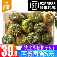 碱地盘锦铁皮柿子番茄绿腚鹰爪脆丹东草莓柿子西红柿新鲜水果5 斤