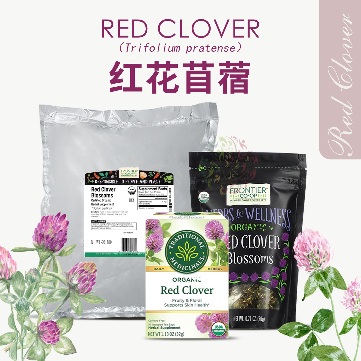 Traditional红花苜蓿茶安神茶
