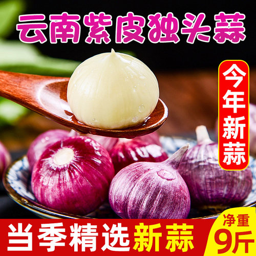 云南大理独头蒜紫皮小独蒜珍珠蒜现挖新鲜蒜特惠装迷你干大蒜头