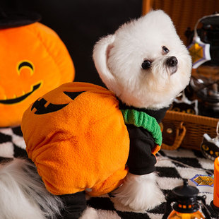 宠物新品 博美比熊小型犬 狗狗万圣节南瓜灯变身装 保暖加绒拍照同款