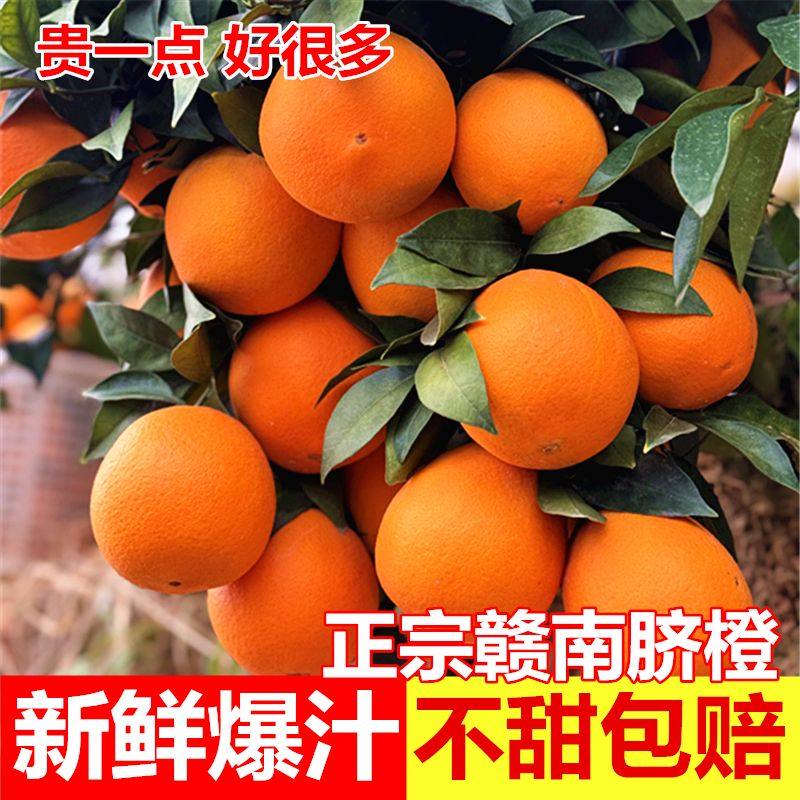 现摘正宗赣南脐橙10斤整箱橙子新鲜水果应季彩箱薄皮多汁酸甜橙子,水产肉类/新鲜蔬果/熟食,橙,淘宝优惠券,粉丝福利购,淘宝优惠卷