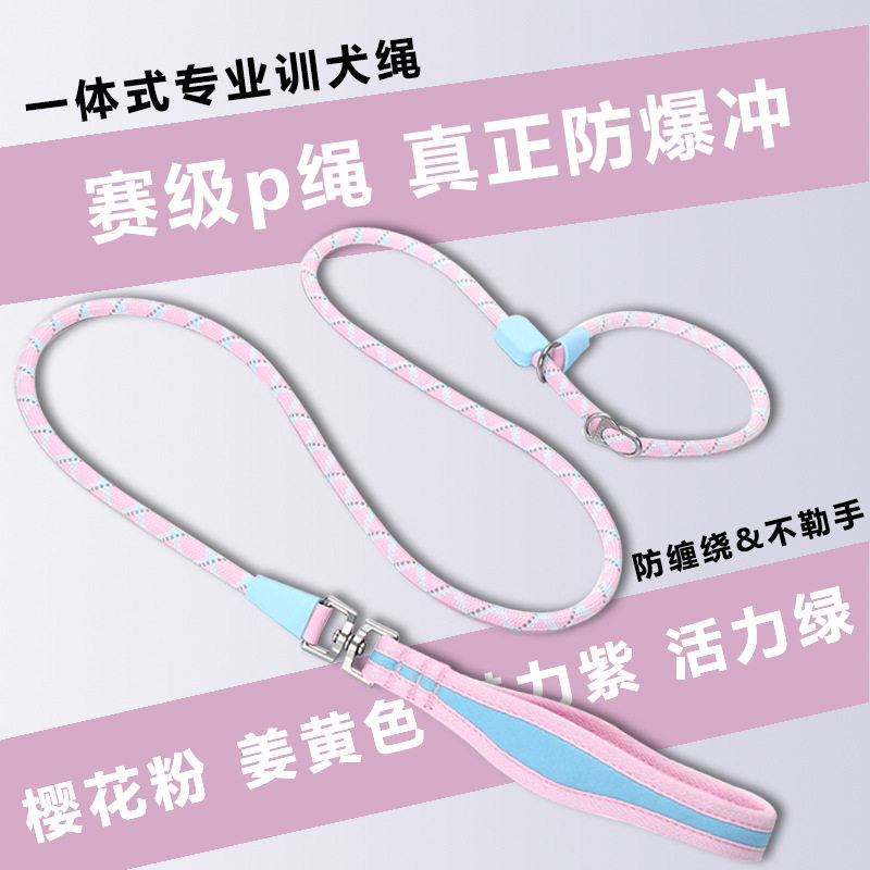 狗狗牵引绳p链p绳遛狗链子小中大型犬训犬防爆冲防缠绕赛级狗用品,宠物/宠物食品及用品,狗牵引绳,淘宝优惠券,粉丝福利购,淘宝优惠卷