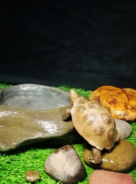 天然真石头乌龟食盆喂食器