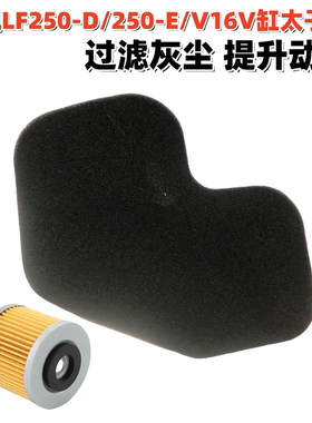 适用力帆摩托车LF250-D/250-E/V16V缸空气滤芯滤清器机油滤芯滤网
