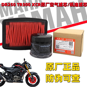 豪爵DR250TR300XCR原厂滤芯