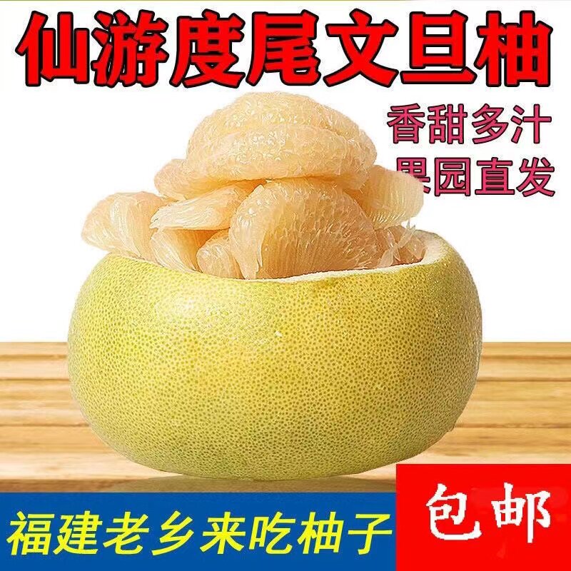 正宗度尾文旦柚10斤包邮当应季柚子
