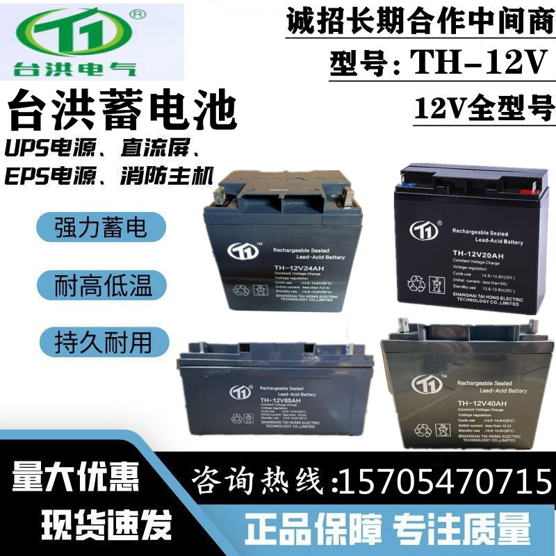 台洪蓄电池TH-12V40Ah24Ah20Ah100Ah17Ah120AH7A直流屏UPS消防EPS