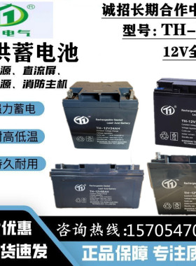 台洪蓄电池TH-12V40Ah24Ah20Ah100Ah17Ah120AH7A直流屏UPS消防EPS