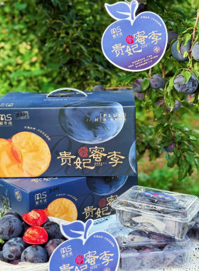 秒杀价陕西贵妃蜜李贵妃蜜李礼盒装当季新鲜水果顺丰快递