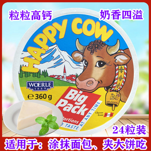 奥地利进口360g再制干酪