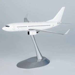 波音 200 无卡购买须知：请买家参照 700 白机无瑕疵 B737