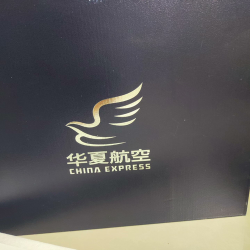华夏航空 飞机模型华夏大尺寸飞机模型，长度45cm，ARJ机型.arj