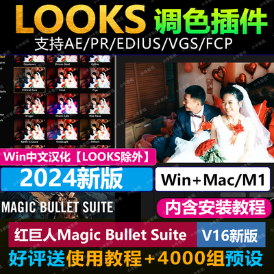 Looks/MOJO魔法调色磨皮插件2024 MagicBullet支持AE/PR/EDIUS/M1